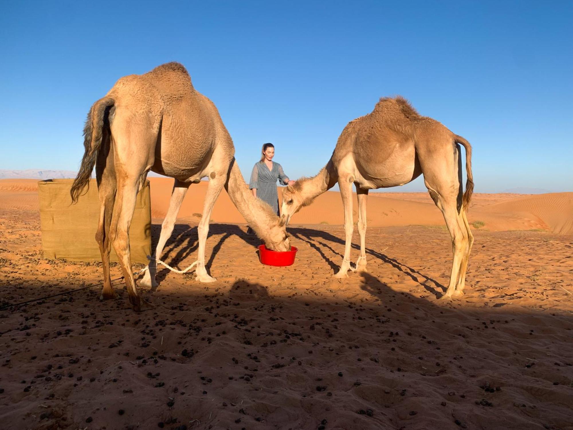فندق Wahiba Bedouiens Privae Camp Badīyah المظهر الخارجي الصورة